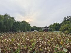 -莲池书院博物馆