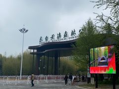 -黄海国家森林公园