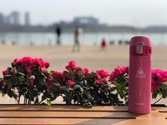 -星巴克(成都科学城店)