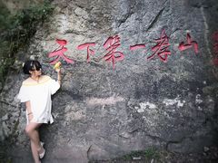 -王顺山国家森林公园