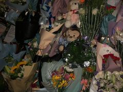 -上海市世外小学