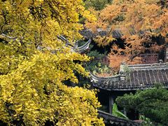 -惠山古镇·寄畅园