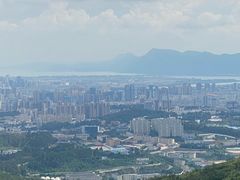 -长虫山生态公园风景林