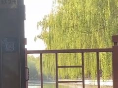 -皇家御河游(紫御湾码头)