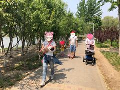 -大兴滨河森林公园