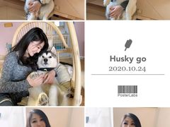 -Husky Go! 哈士奇体验馆·宠物咖啡厅狗咖