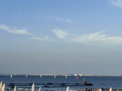 -日照海滨国家森林公园