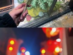 -山塘街