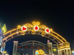 -武汉知音号