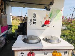-樂桃源奉贤黄桃种植采摘基地