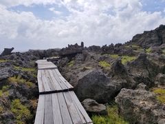 -龙坑生态保护区