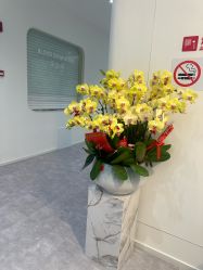 -SKINIST丽铂医疗美容