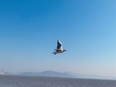 -深圳湾公园(南山区)