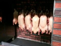 -同喜烤鸭店(光芒店)