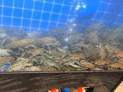 -为民烧烤吧.自贡爆炒菜(收录10年好店)