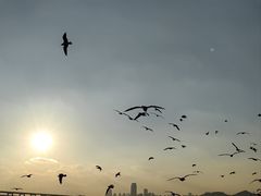 -星海广场