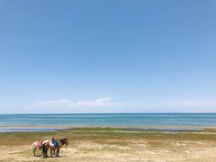 -青海湖国家重点风景名胜区