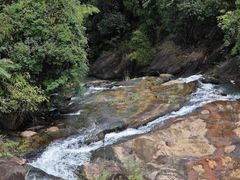 -广州白江湖森林公园