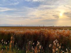 -野鸭湖国家湿地公园
