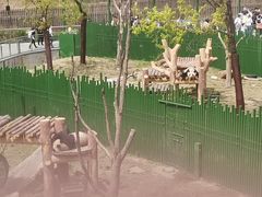 -沈阳森林动物园