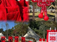 -云栖山谷野奢营地