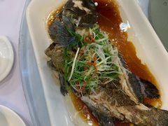 清蒸老虎斑-勝記酒家·37年老字号·经典粤菜(荔枝公园店)