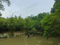 -汇龙潭