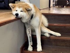 -YCHL Studios健身工作室(市二宫店)
