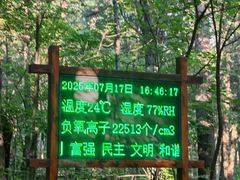 -汤旺河林海奇石景区