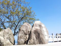 -阳台山森林公园
