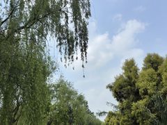 -白鹭湾湿地公园
