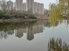 -前关湿地公园