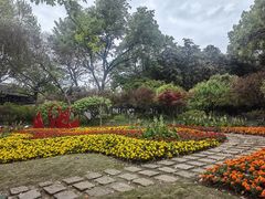 -上海醉白池公园