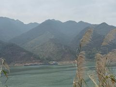 -羚羊峡古栈道森林公园