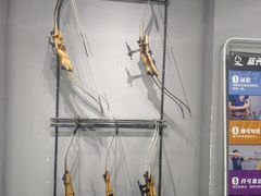 -蓝天射箭馆·专业射箭运动(诚丰广场店)