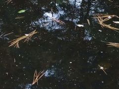-天龙八部武侠城
