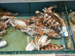 -宜宾海鲜酒家·三十年老字号