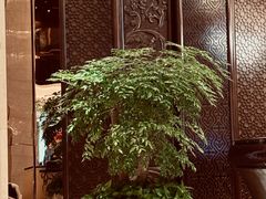 -西安赛瑞喜来登大酒店