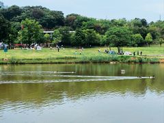 -牛岗山公园