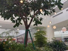 -大树餐厅(红旗街万达店)