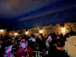 -翱翔飞越地平线