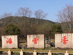 -香雪海