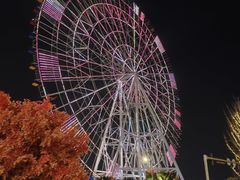 -南昌之星摩天轮