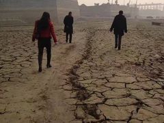 -湖南东洞庭湖国家级自然保护区