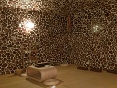 -丽辰新韩式商务SPA·洗浴桑拿·自助餐食