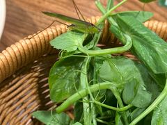 -野山舂·贵州现舂酸汤火锅(鸿通城店)