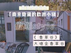 -大塘金香草谷