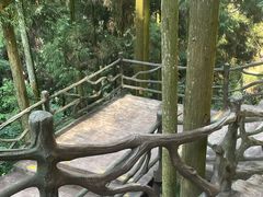-刘伯温故里景区百丈漈