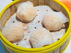 -香港龙凤楼(巨鹿路洋房店)