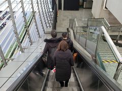 -外高桥保税区南(地铁站)